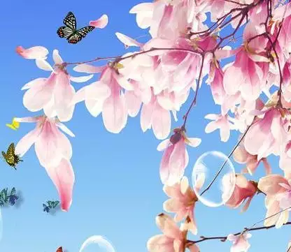 屬相龍男一生中會有幾次桃花運：桃花運最旺！這到底說的是哪個生肖男？