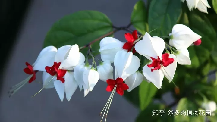 高端大氣上檔次的昵稱：什麼樣的網名高端大氣上檔次？