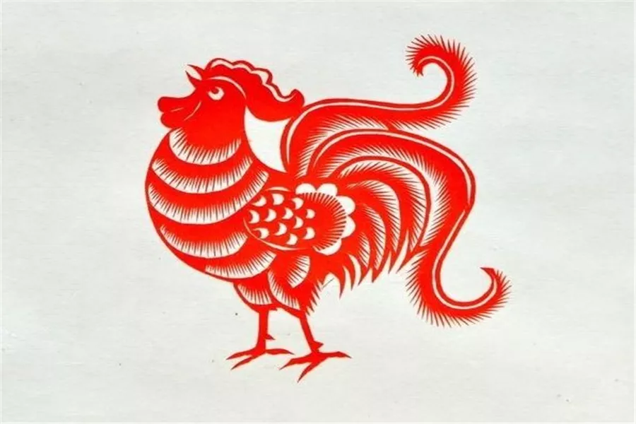 什麼樣的屬相在一起是上等婚：和哪個生肖配對是上等婚配