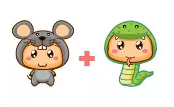 3、5月出生屬相龍的能與兔婚配嗎:屬兔和屬龍相配嗎