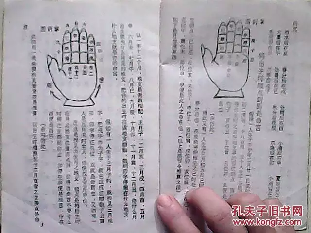 10、算命有幾個子女免費:怎麼算命能生幾個孩子