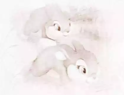女人屬兔和什麼屬相最好：請問屬兔的女生配什麼生肖的男生好呢？