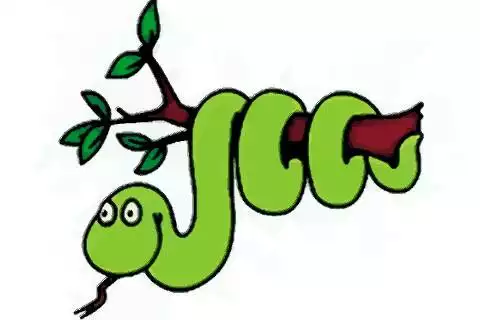 2、屬蛇人的脾氣性格好不好:屬蛇的人有哪些性格特點