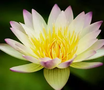 3、什麼都不順，命運本該如此嗎，農曆 八點半