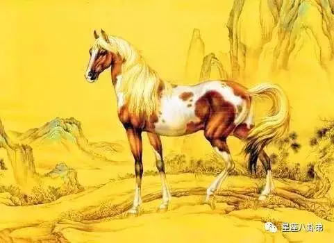 4、年屬馬有幾次大財運:屬馬人年運勢情況是什麼？