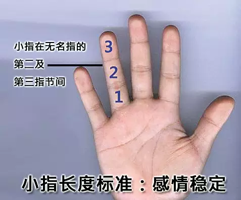 2、斷姻緣從哪方面下手:論文事實婚姻與同居應該從哪些方面入手寫