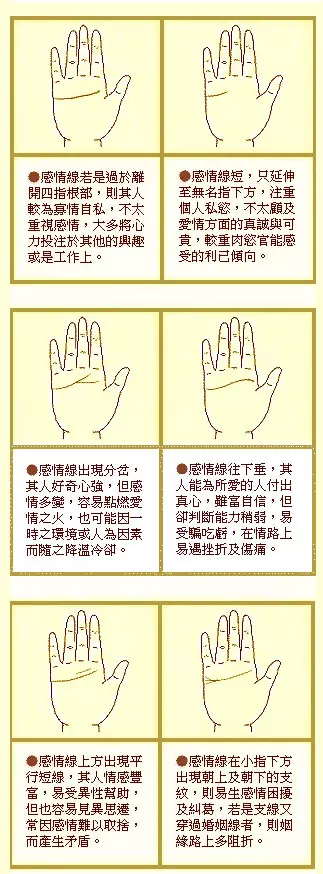 1、女人手相圖片大全對照表:女人手相圖解大全女人手上有六條