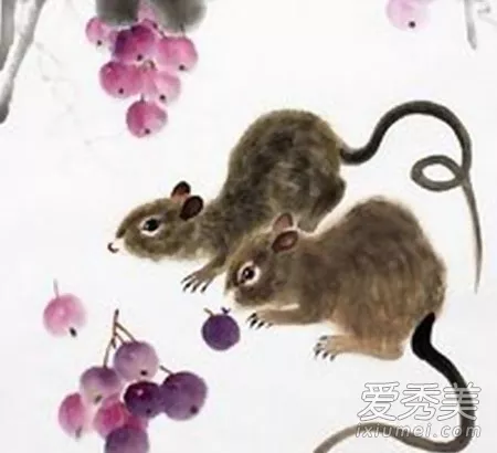 屬鼠的和屬狗的婚配怎麼樣啊：屬狗和屬鼠相配嗎