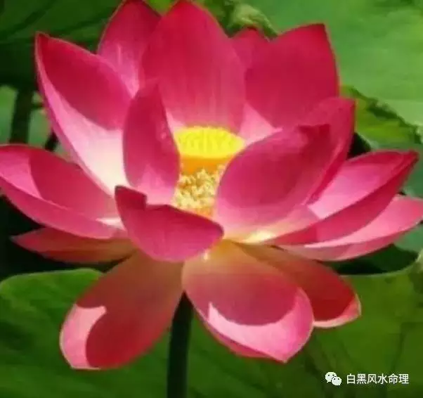 1、測自己的正緣:女測對方是否是我正緣