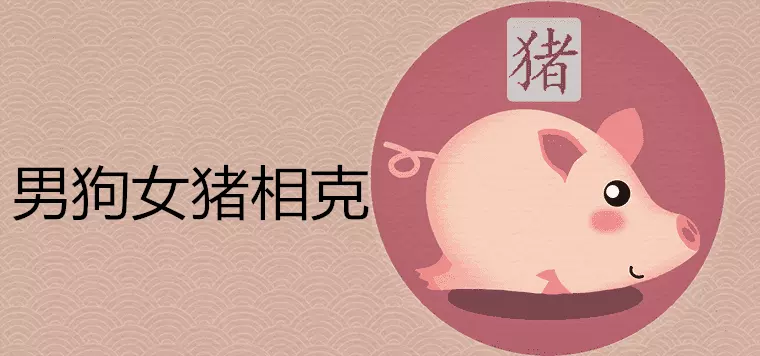 1、94男和95女豬婚配好嗎:年屬狗和年屬豬女孩相配嗎？