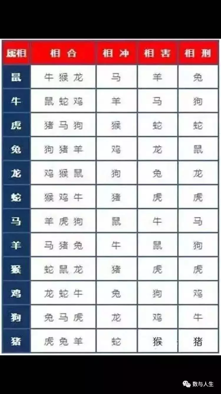 7、婚配問題取什麼名字好:取什麼名字好呢