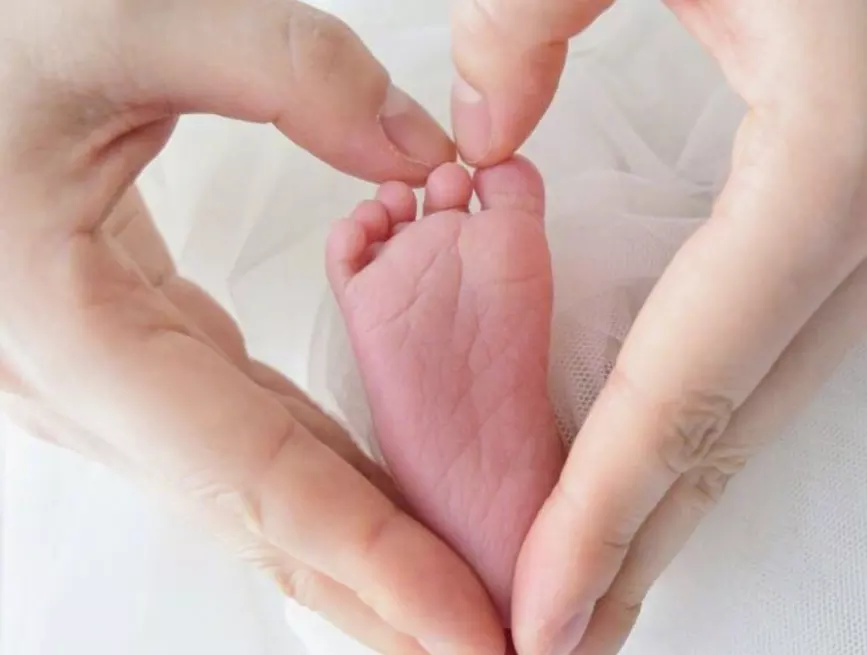 1、男方子時女方中午能婚配嗎:子時出生的男狗與中午出生的女鼠婚配好嗎