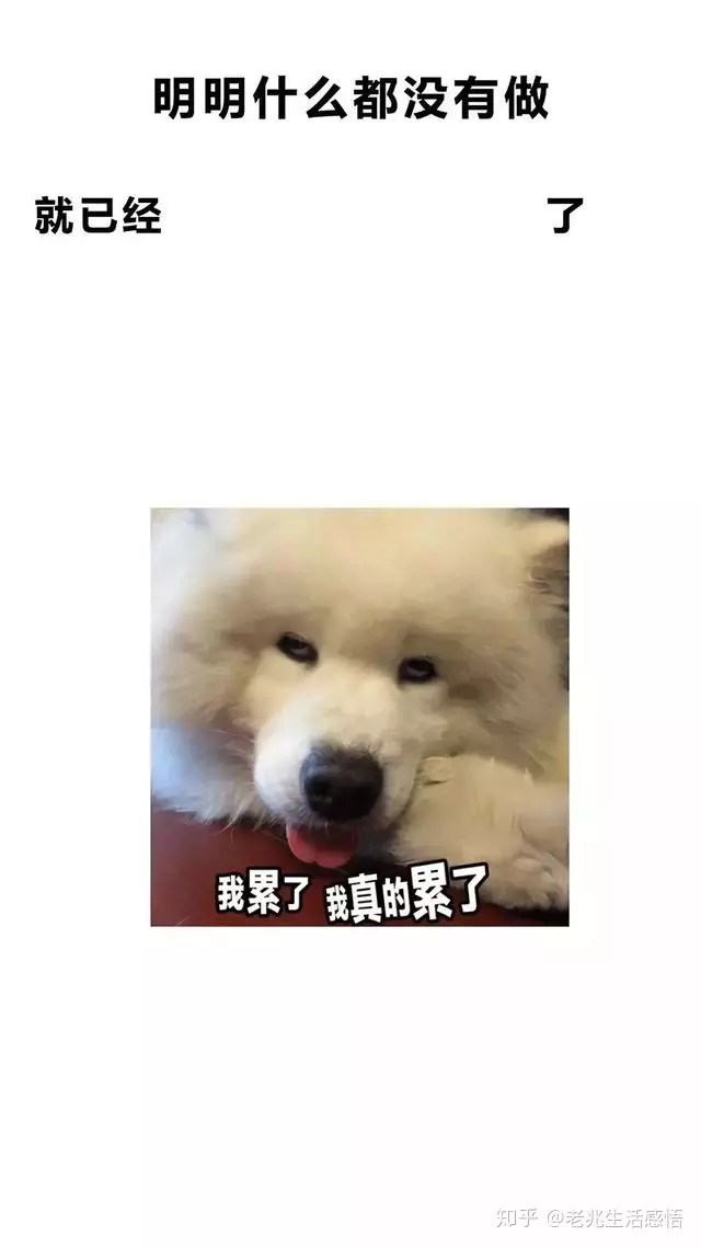 5、明明很想卻沒有水:為什麼明明很想要卻沒有水？