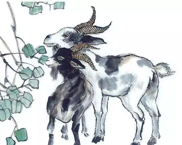 6、屬羊的都是几几年:屬羊的是哪年出生