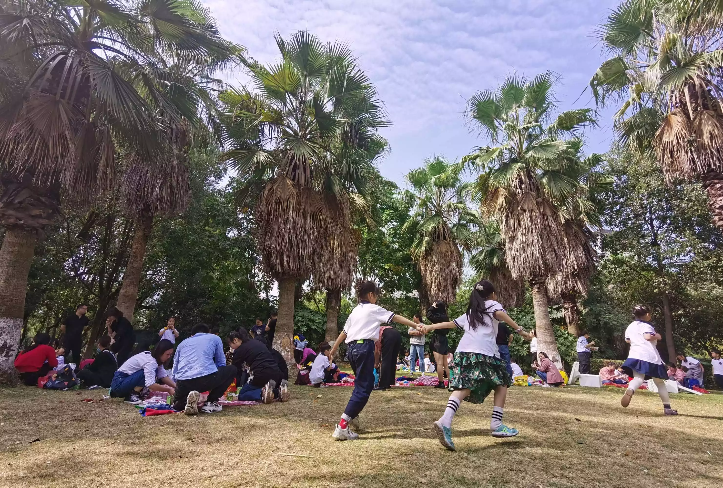 由於屬相不合爸爸一直不知足：男方家長差異意我們在一起，說我們屬相不合，怎麼辦？