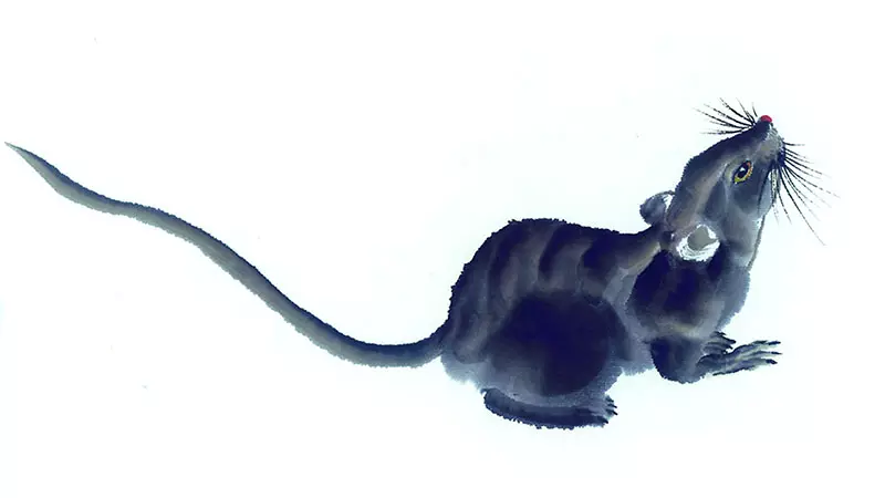 1、虎男虎女婚配男肖蛇和女肖鼠:男屬虎和女屬蛇的配嗎