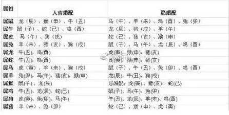4、94年96年出生之性命理與婚配:94年屬狗與96年的豬的屬相婚配示意