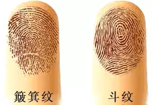 1、從手指斗紋看性格，命運， 婚姻，很準的！ 我是男生10個簸萁，尋找10個斗紋的女生共續前緣，尋有緣人～