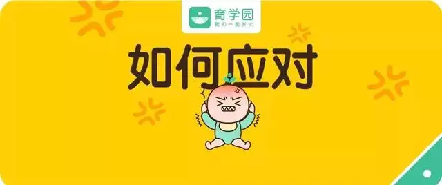 五體投地獻青春什麼屬相：十二生肖中五體投地的動物