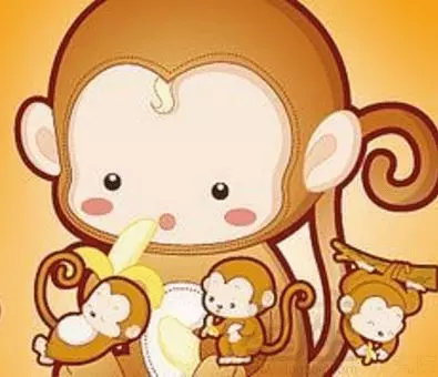 5、十二生肖猴與兔婚配好嗎:屬猴的和屬兔的結婚好不好