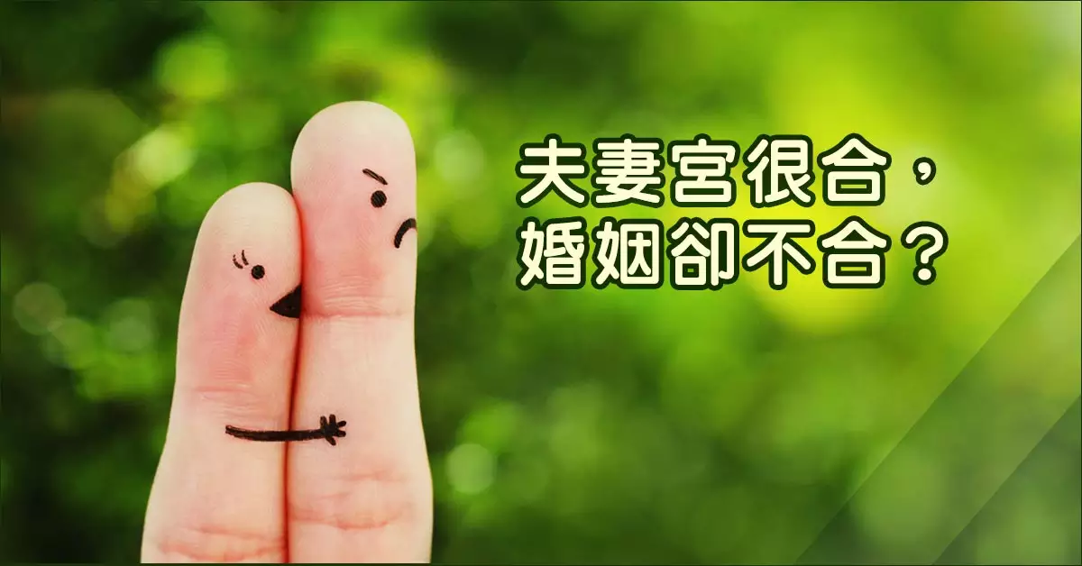 2、夫妻緣分天註定:林峯分享戀愛細節，夫妻緣分天註定，對此你怎麼看？