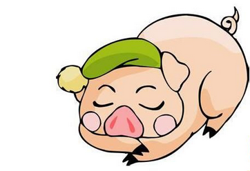 雞和豬的屬相性格合不合：屬豬的和屬雞的合不合