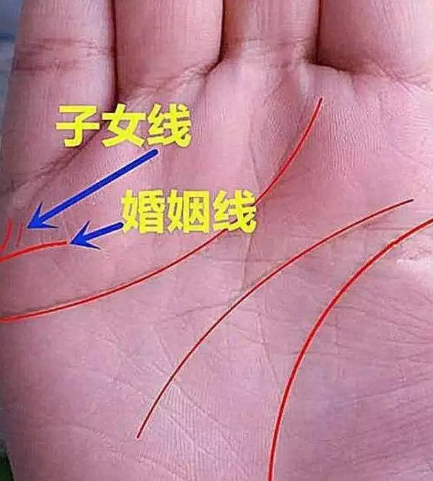 最準確看有幾個兒女手相：手相能看出生幾個孩子嗎
