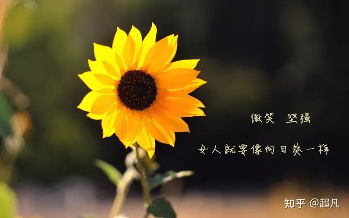 3、怎麼樣才能提升自己的運氣:如何提高自己的運氣,好的辟物品都有什麼？