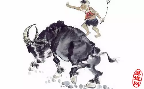 3、水龍命三龍好嗎:除了水龍命還有什麼命
