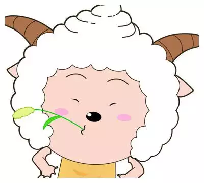 犯太歲的人什麼屬相最好：今年什麼屬相犯太歲？