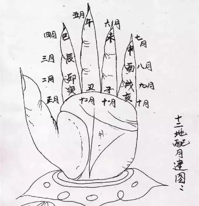 2、婚姻大六歲相衝是的嗎:婚姻中男女人6歲好嗎,是不是相衝？