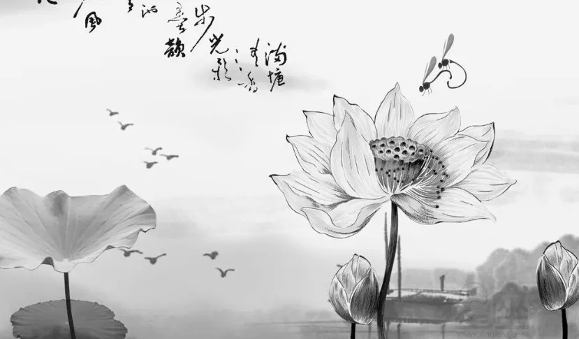 2、屬狗的正緣什麼時候到:依然測感情，錯過了這個，那正緣什麼時候到