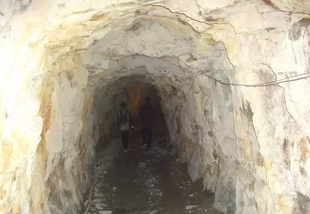 路不拾遺的生肖和屬相：路不拾遺是什麼生肖