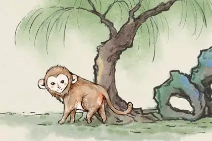 1、年屬猴一生有二婚之命:80年屬猴的是什麼命