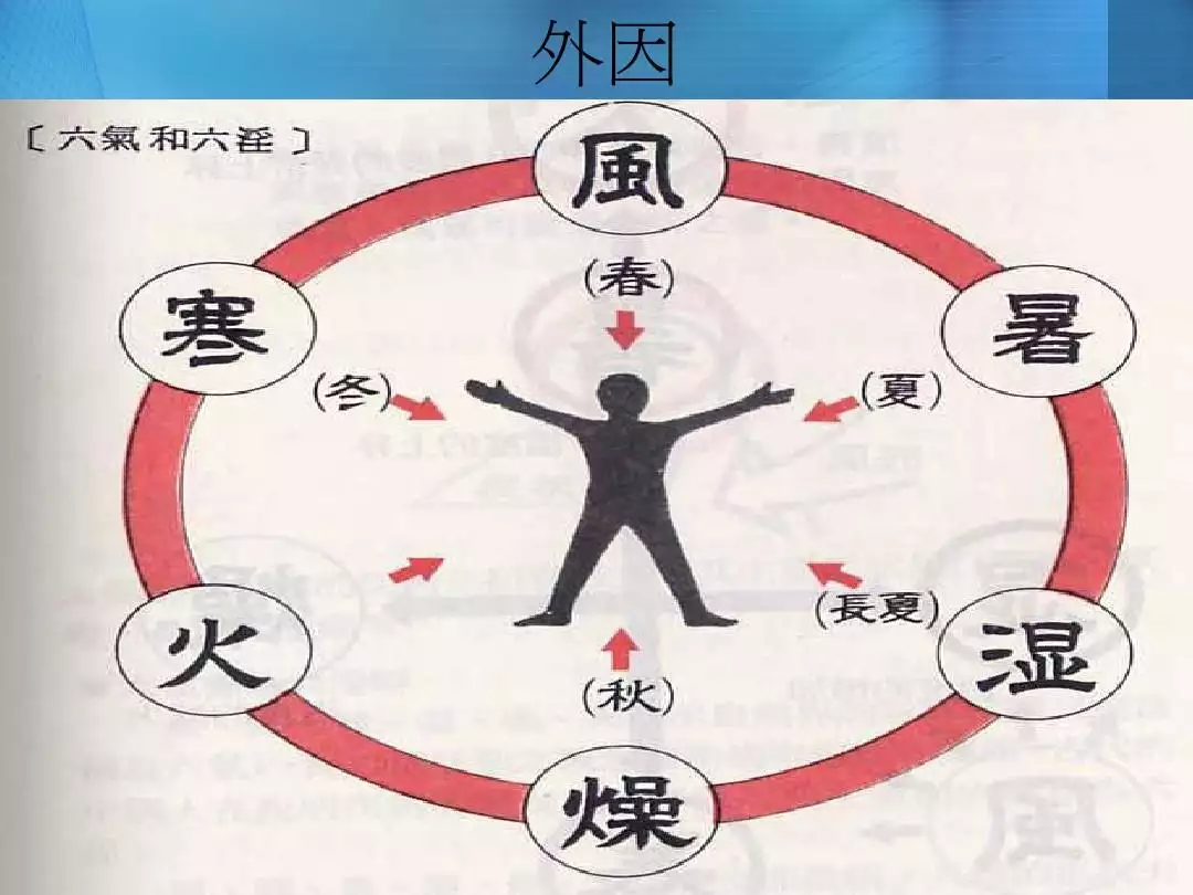 1、李五行屬性是什麼:“李”字，在周易五行中的屬性是“木”還是“火”？急！