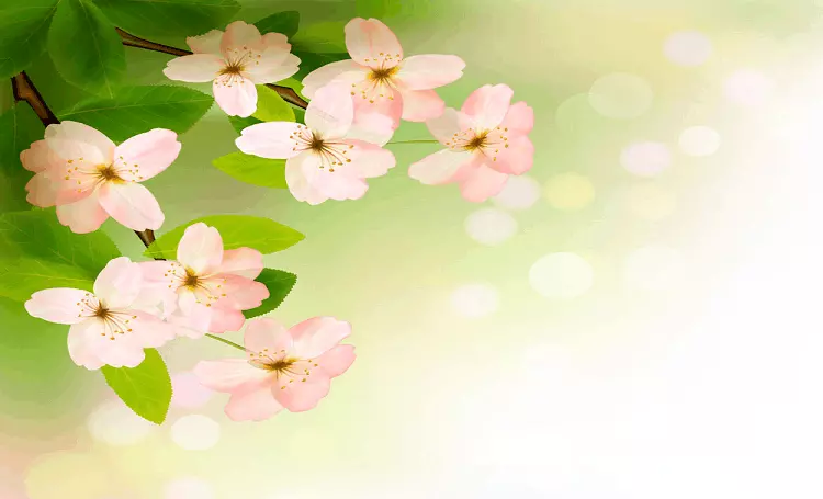2、屬兔年桃花運:屬兔摩羯座愛情運、桃花運、財富運如何？