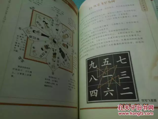 2、年屬龍的女跟年屬虎的般配嗎女是大林木命男是爐中火命