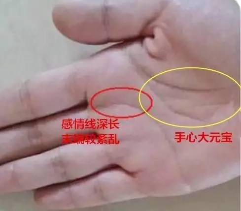 怎麼從手相上看一生有幾個孩子：從手紋看一生有幾個孩子，怎麼辦