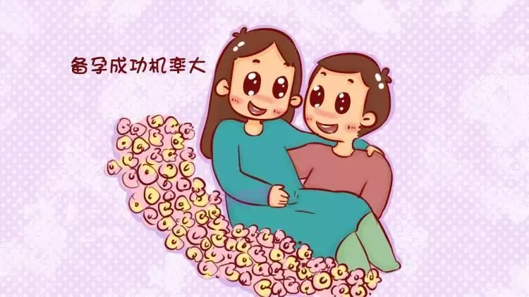 3、個人備孕經驗已成功:備孕兒子有成功的經驗分享嗎？