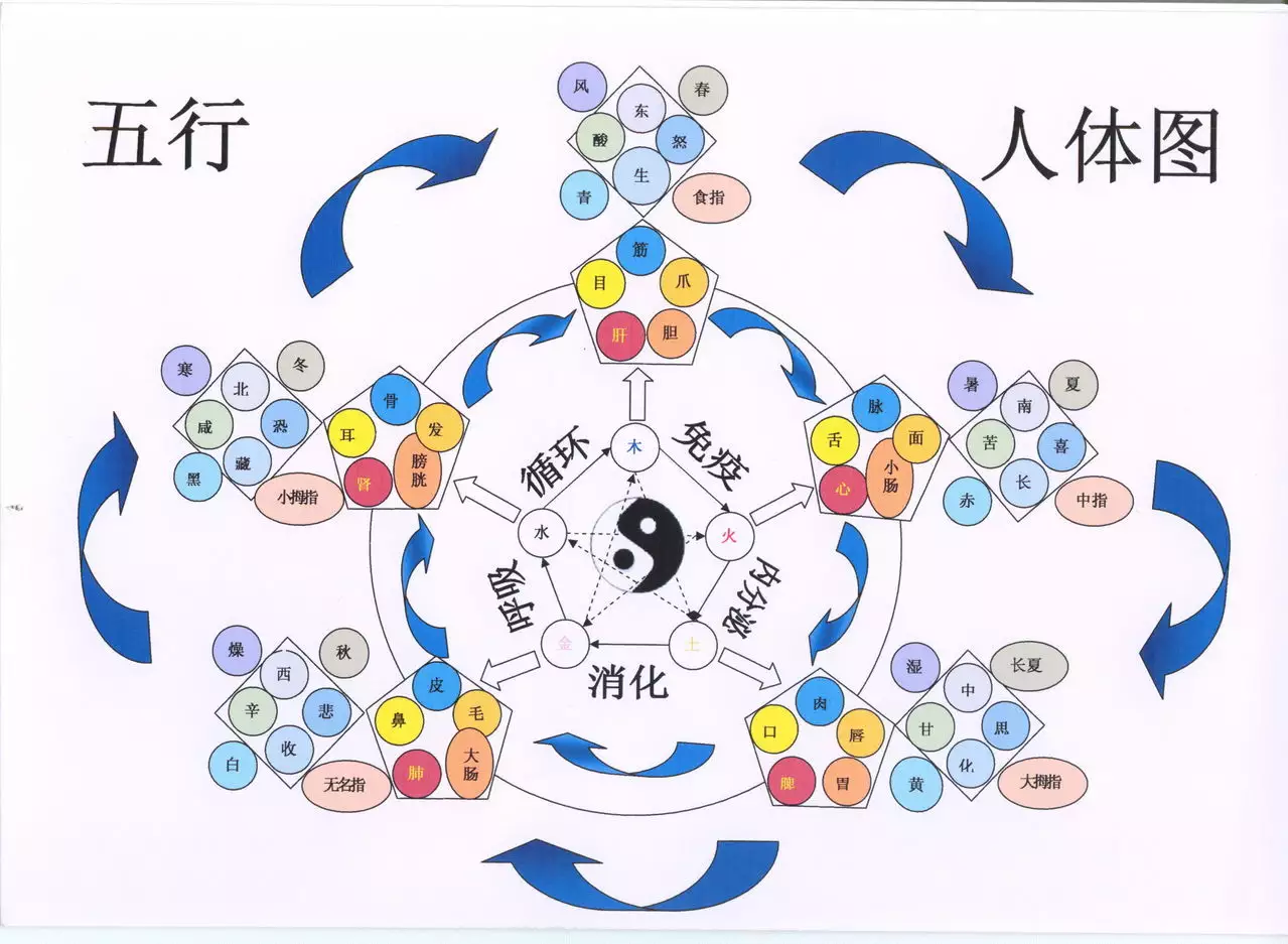 3、五行相生相剋夫妻命查詢:夫妻中金木水火土五行是否相生相剋