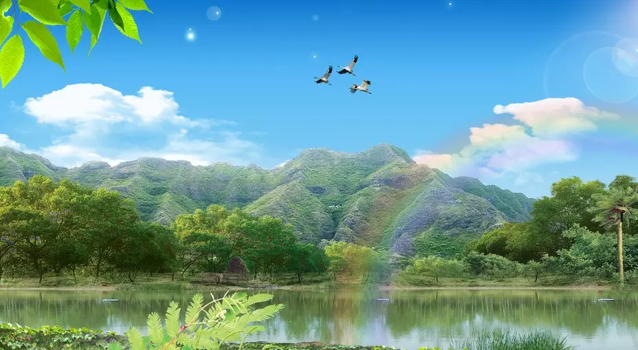 小孩出生五行查詢缺什麼：寶寶五行缺什麼怎麼查