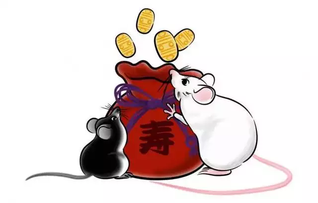 屬相鼠出生的時辰哪個好：八字中的時辰如何區分(每個時辰都分有四個)