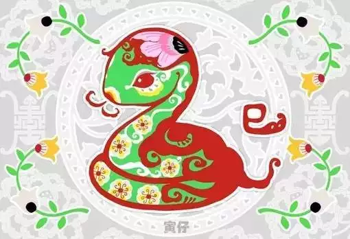 屬蛇屬雞與什麼屬相相處友善：屬蛇和屬雞相配嗎