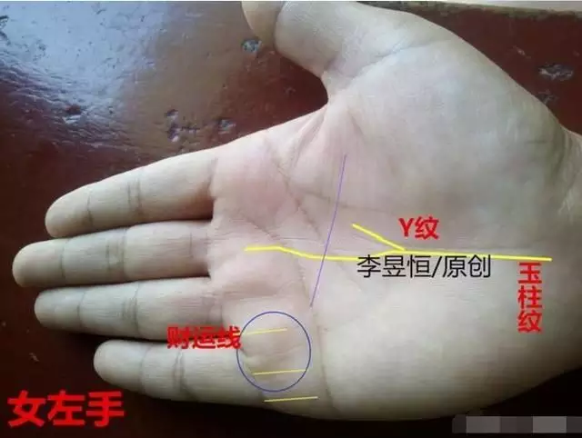 1、手上的姻緣線怎麼看:怎麼看婚姻線 我不會看 我是男的 應該看那隻手