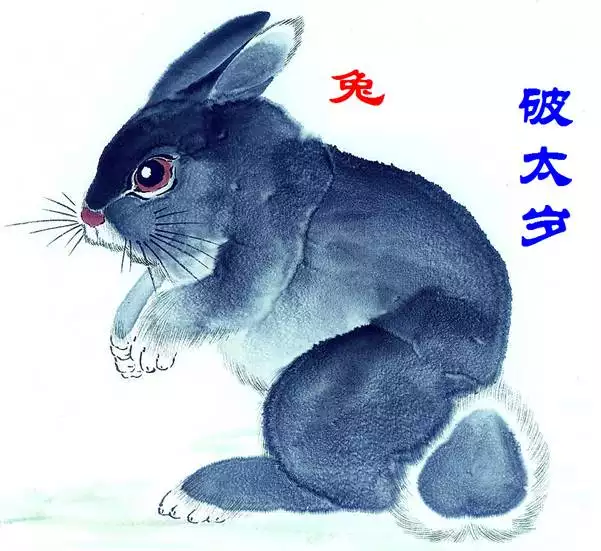 99年兔和什麼生肖好：年屬兔是什麼命