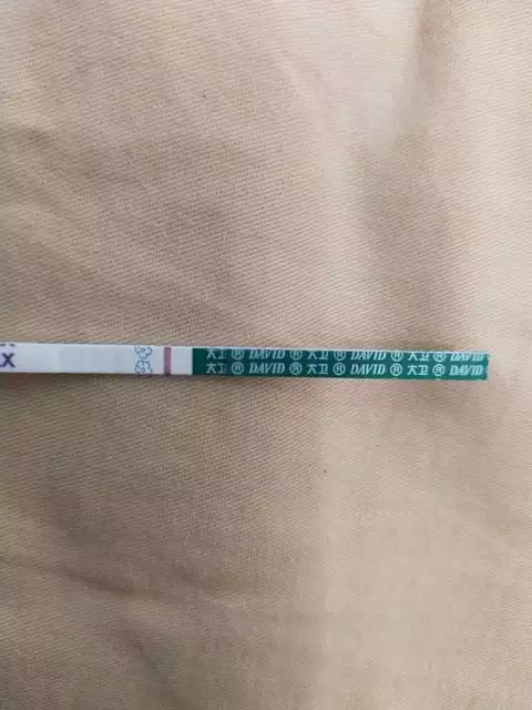 懷孕多久可以測男孩女孩：驗血女孩竟然生男孩