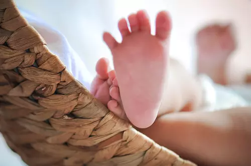 父母屬兔孩子屬牛好嗎：屬牛和什麼屬相的子女相衝