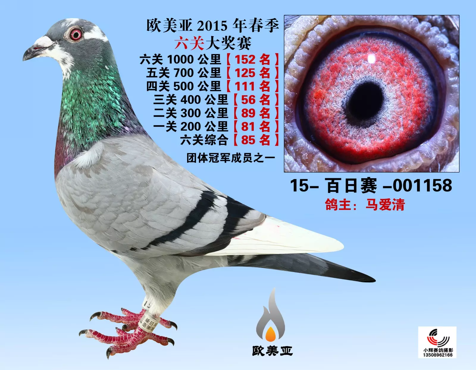 4、生日配對測試婚姻星期:生日配對測試