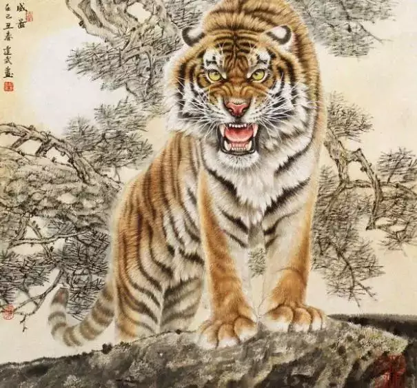 3、屬虎的是哪年出生的人:屬虎今年幾歲了