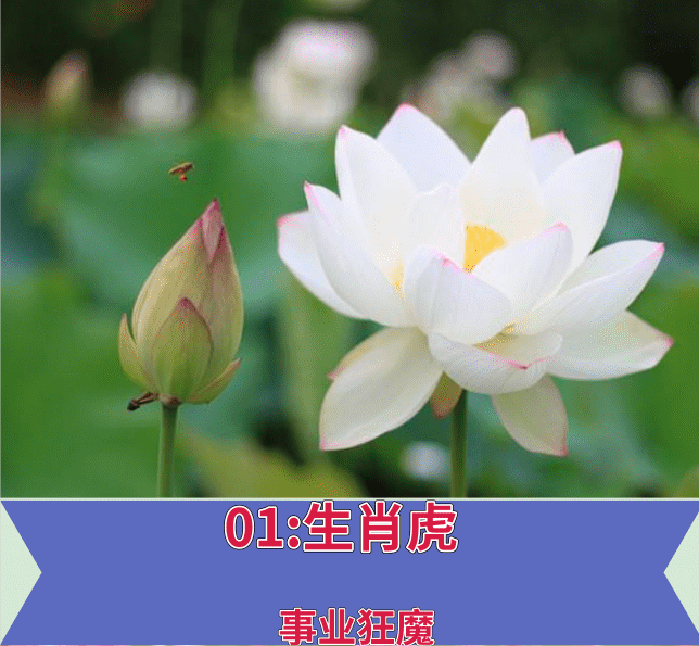 5、姻緣來得晚的女孩:什麼樣的女性，好姻緣來得晚